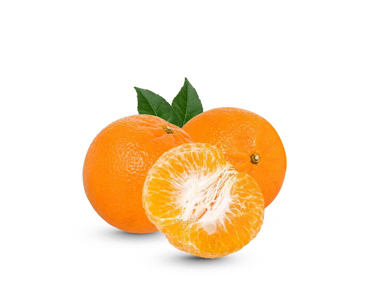 Barenaked Noodles - Image 3